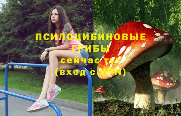 амф Мегион
