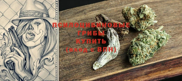 амф Мегион