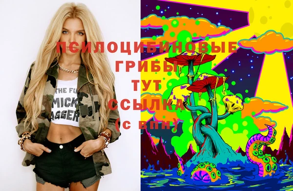 спайс Майский