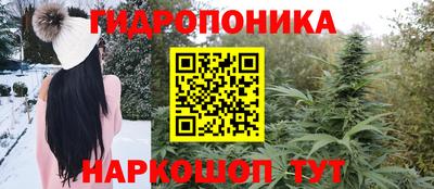 mix Кингисепп