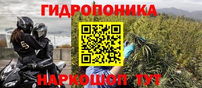 jwh Кинель
